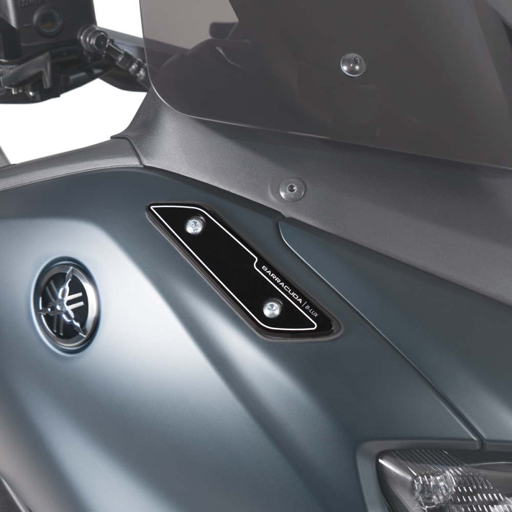MIRROR HOLES COVER T-MAX (pair)